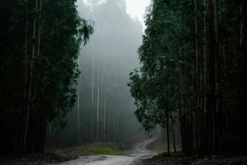 dua for rain